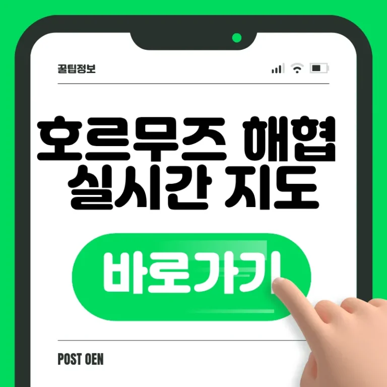 호르무즈 해협 실시간 지도